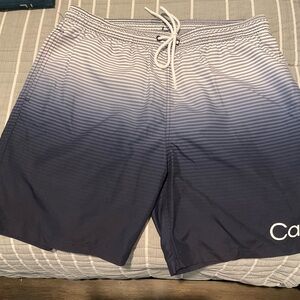Calvin Klein Blue Gradient Swim Shorts